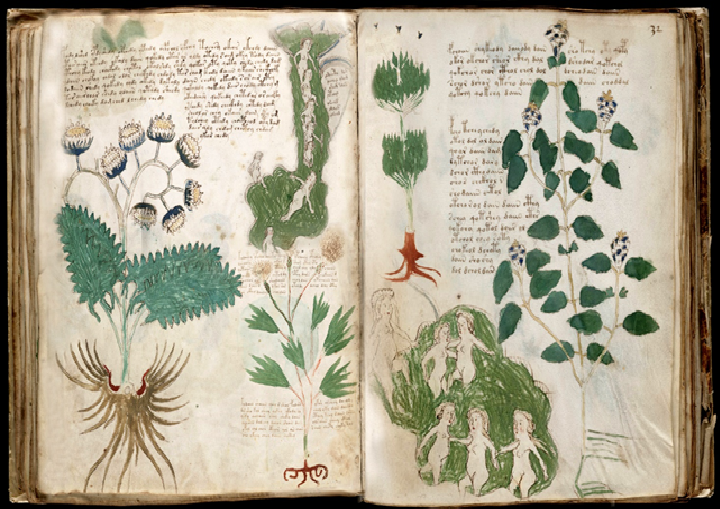 Il Mistero del Manoscritto Voynich: il libro che nessuno sa leggere