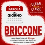 Copertina della parola del giorno Briccone