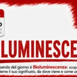 Bioluminescenza: significato ed esempi — Parola del giorno