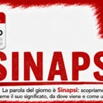 Sinapsi: significato, origine ed esempi — Parola del giorno