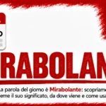 Parola del giorno Mirabolante: significato, origine e uso — Ultimi della Classe